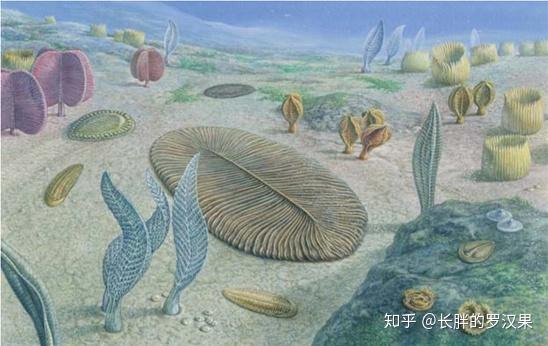 4.元古宙:转变中的地球