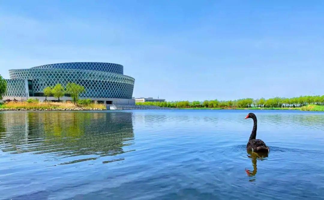 华北理工大学坐落于渤海之滨--曹妃甸,临近渤海湾,风景如画.