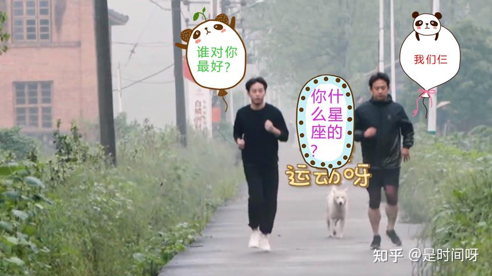 蘑菇屋向往的生活第五季完整 v2-9685b67e6845e4ad0fc3e0cf920c2824_r.jpg