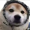 如何对抗人生的无力感 知乎 如何对抗人生的无力感 知乎
