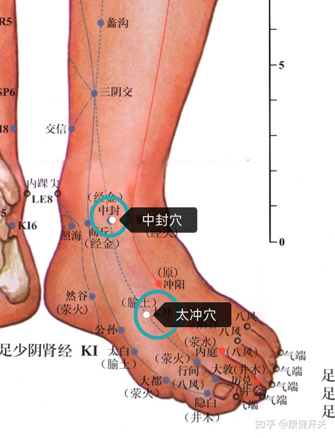 你可以按揉肝经的中封穴,太冲穴,每穴按揉3分钟