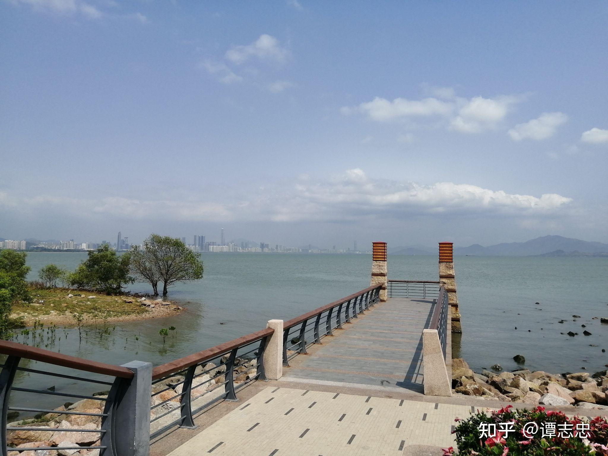 深圳灣公園美麗風景線