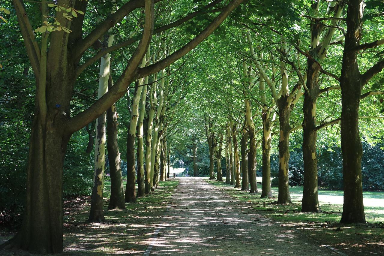 3. 福今户型鉴赏