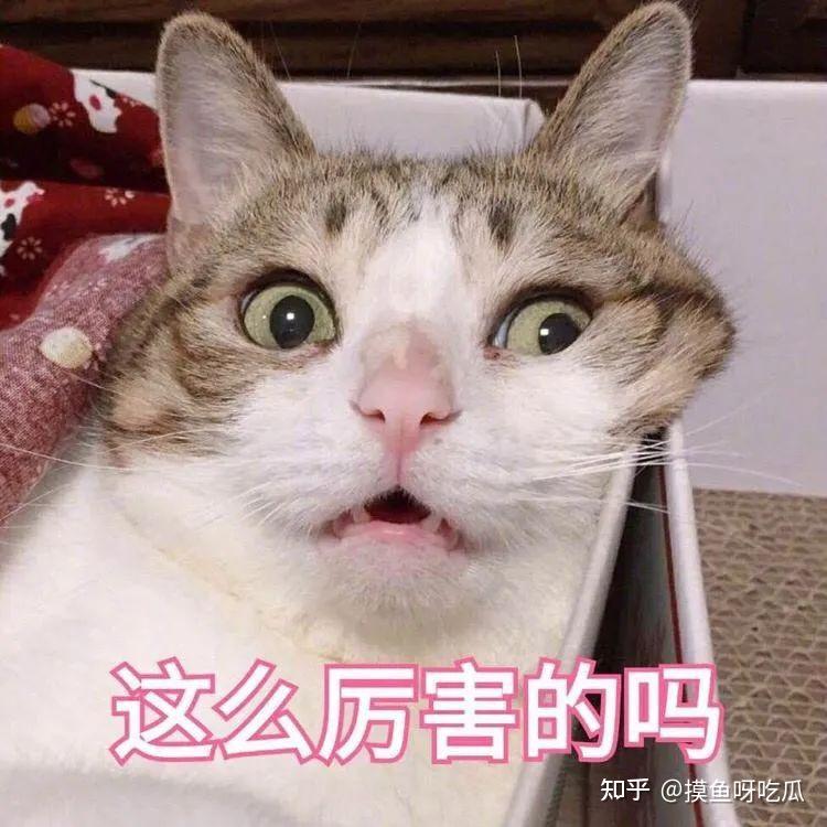 鸟姐依靠玄学大师高调复出 - 知乎