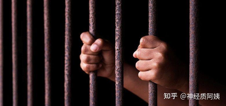明星蹲监狱会受到优待吗还是和普通人蹲监狱一样吗