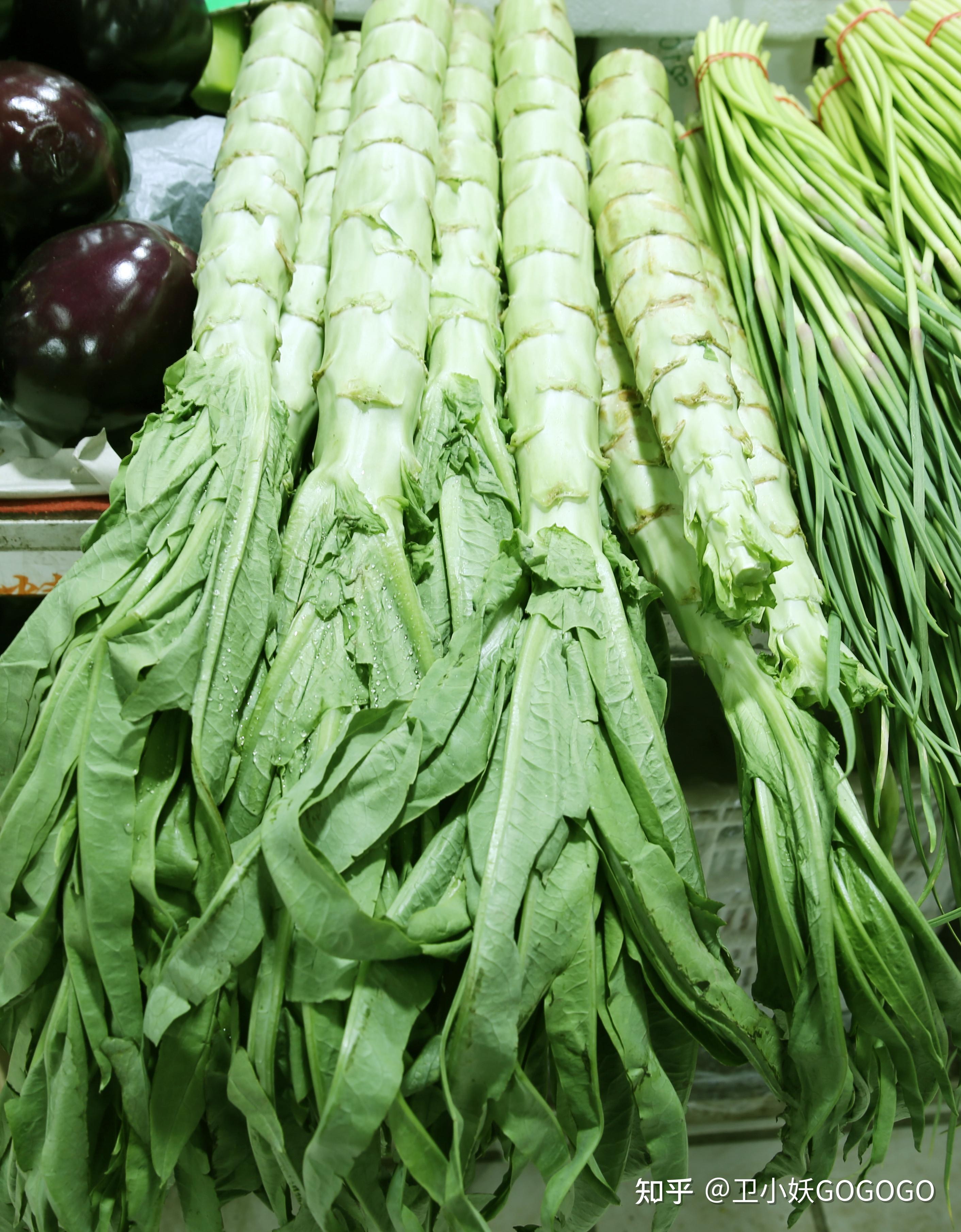 莴苣家族：莴苣、莴笋、生菜、油麦菜、包生菜 - 知乎