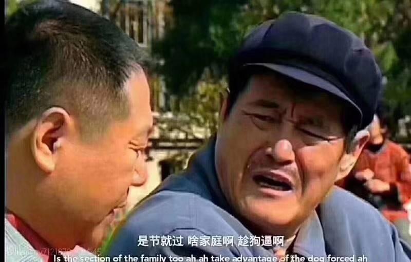 辽宁话里趁狗比是什么意思 用法是怎么样的?