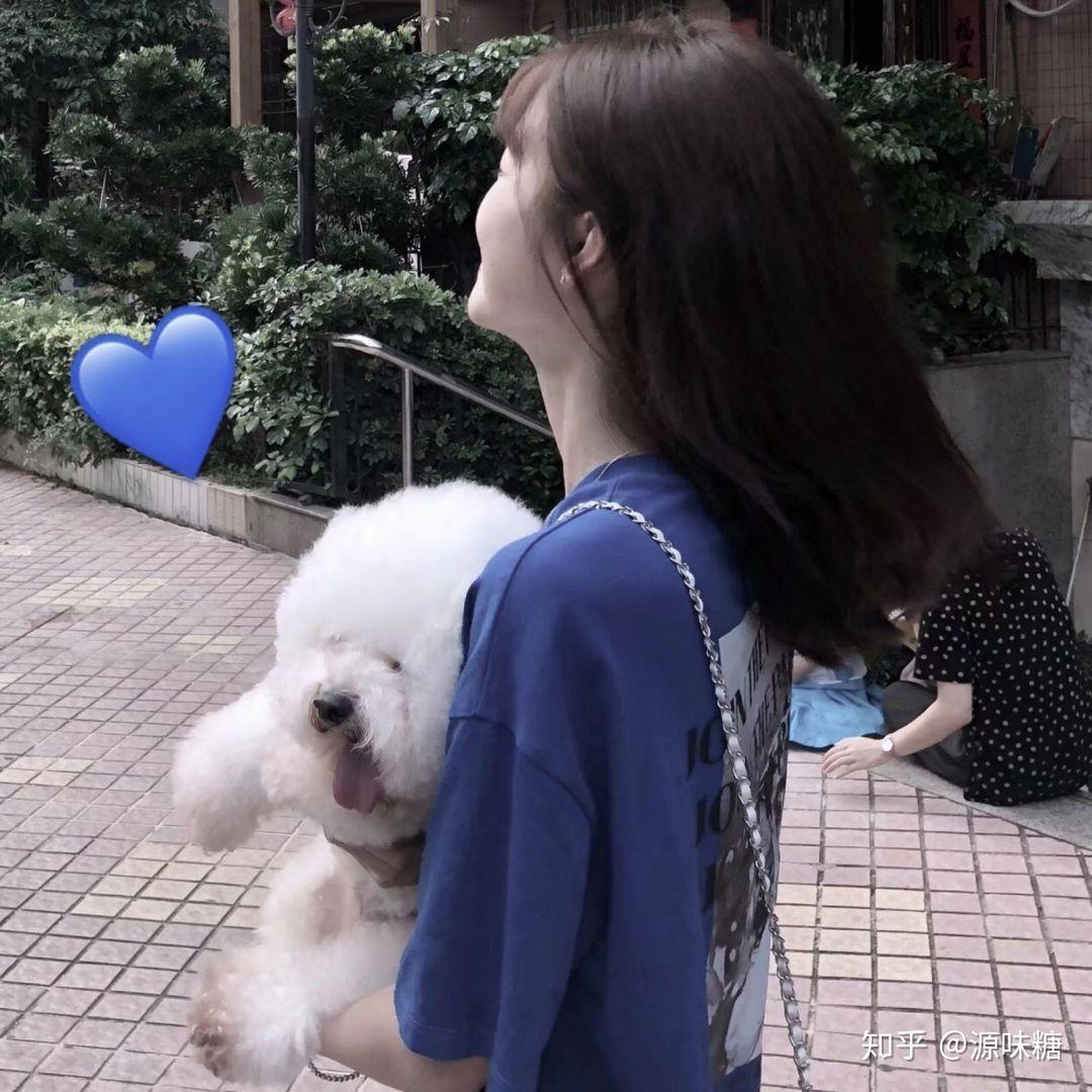 有没有女孩子抱着狗狗的头像,越多越好? - 知乎