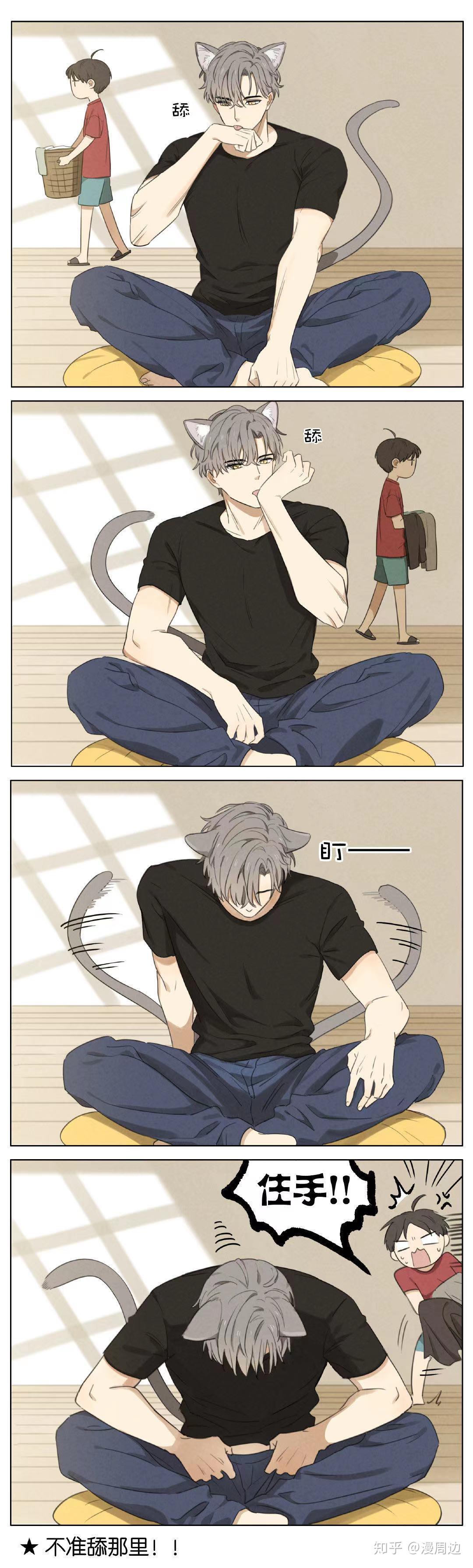 漫画吉川流我家的猫有点不一样