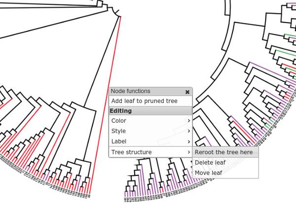 详解进化树 - 知乎