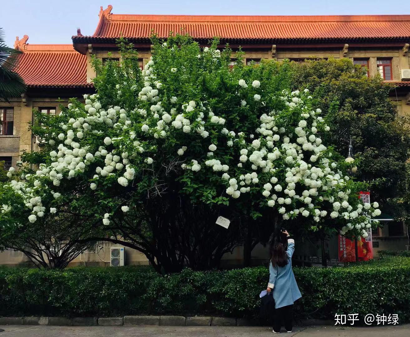 江苏第二师范草场门图片