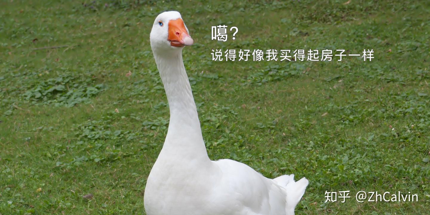 Switch 的 NAT类型硬核向趣味图解 - 知乎