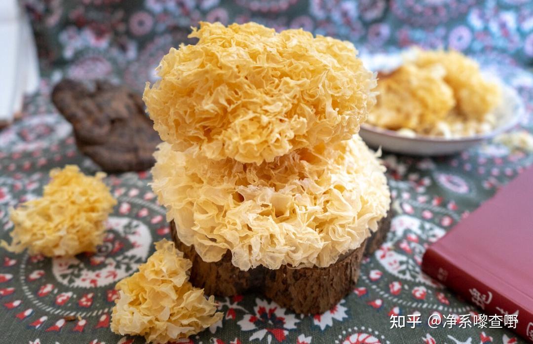 8个补肺食物，肺气虚弱的救星，补肺人群必备秘籍 - 知乎