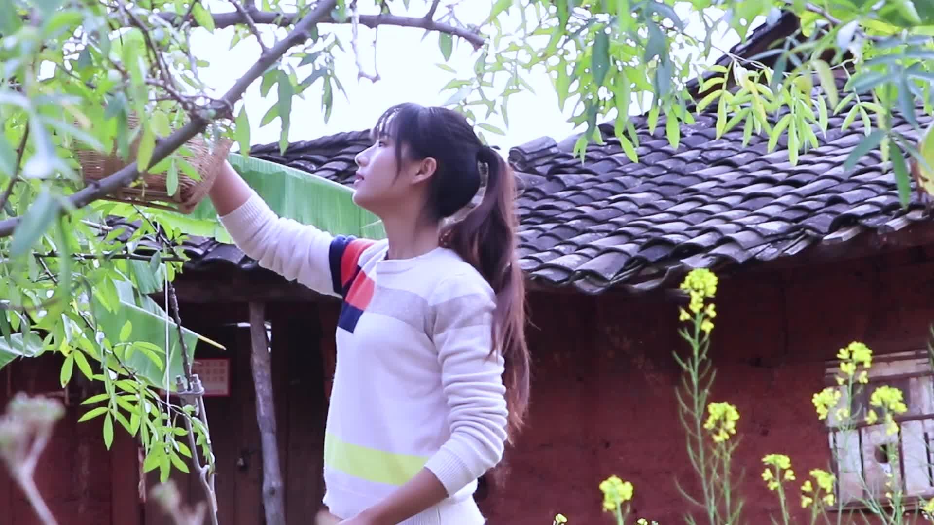 云南妹子1家进山搬包谷直接山上开伙拿斧头当菜刀还是头次见