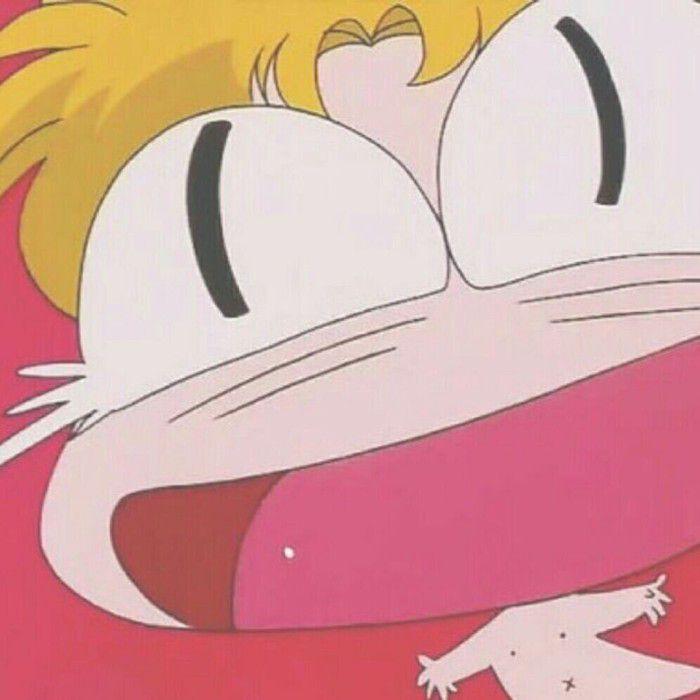 可爱又正经的搞笑头像超级适合你