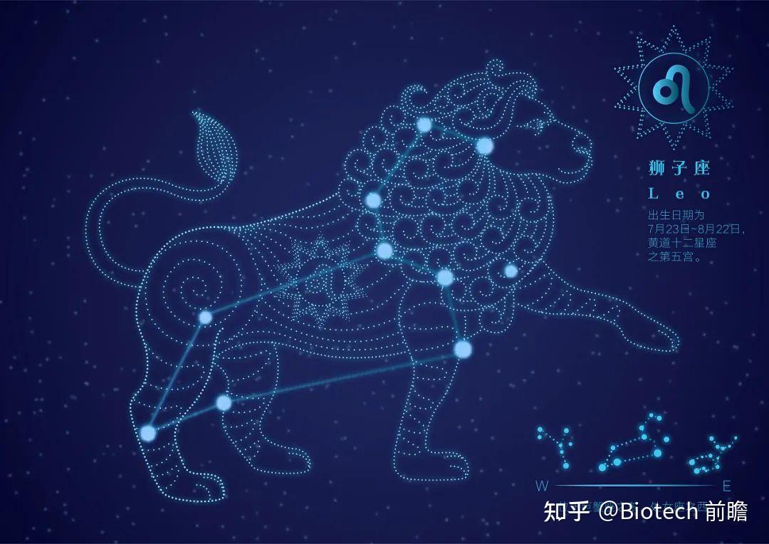 狮子座性格特征及2024年运势分析 - 知乎