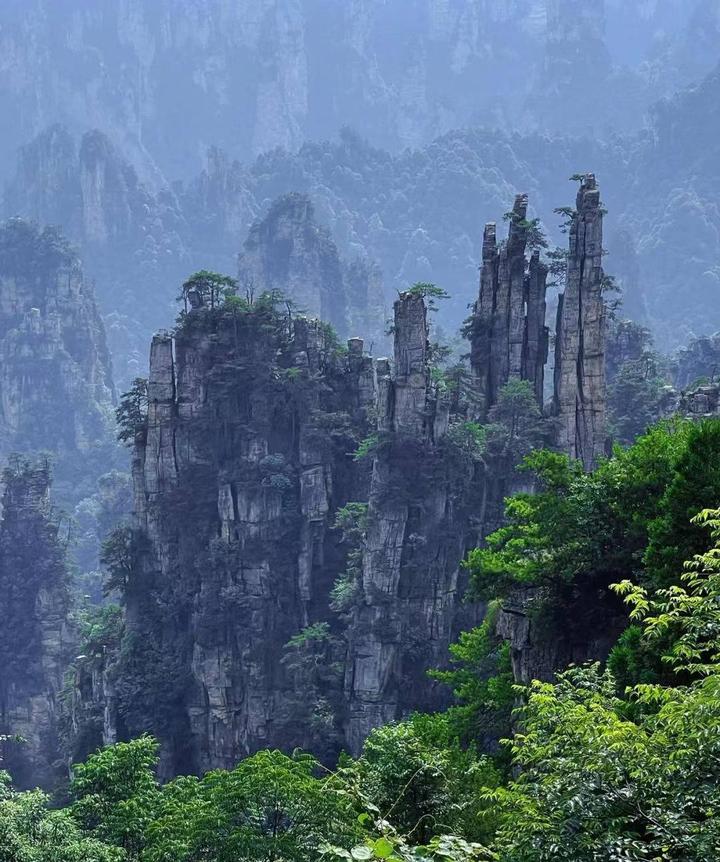 张家界国家森林公园/旅游攻略/Day1,2 - 知乎