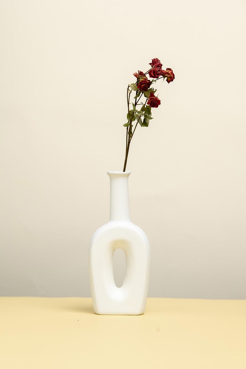 3. 案例分享学习