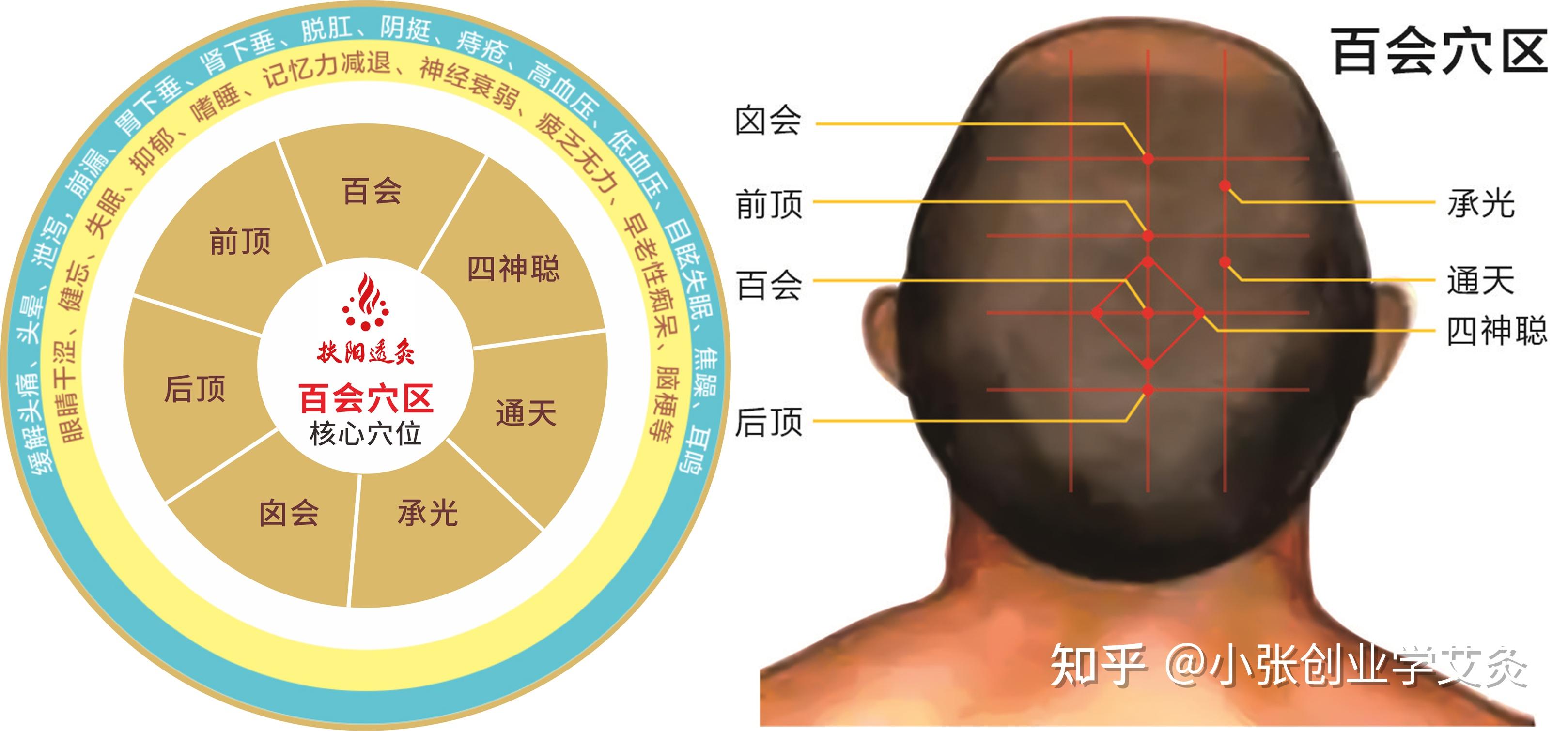 明日小满,警惕暑湿,清爽过夏天! - 知乎