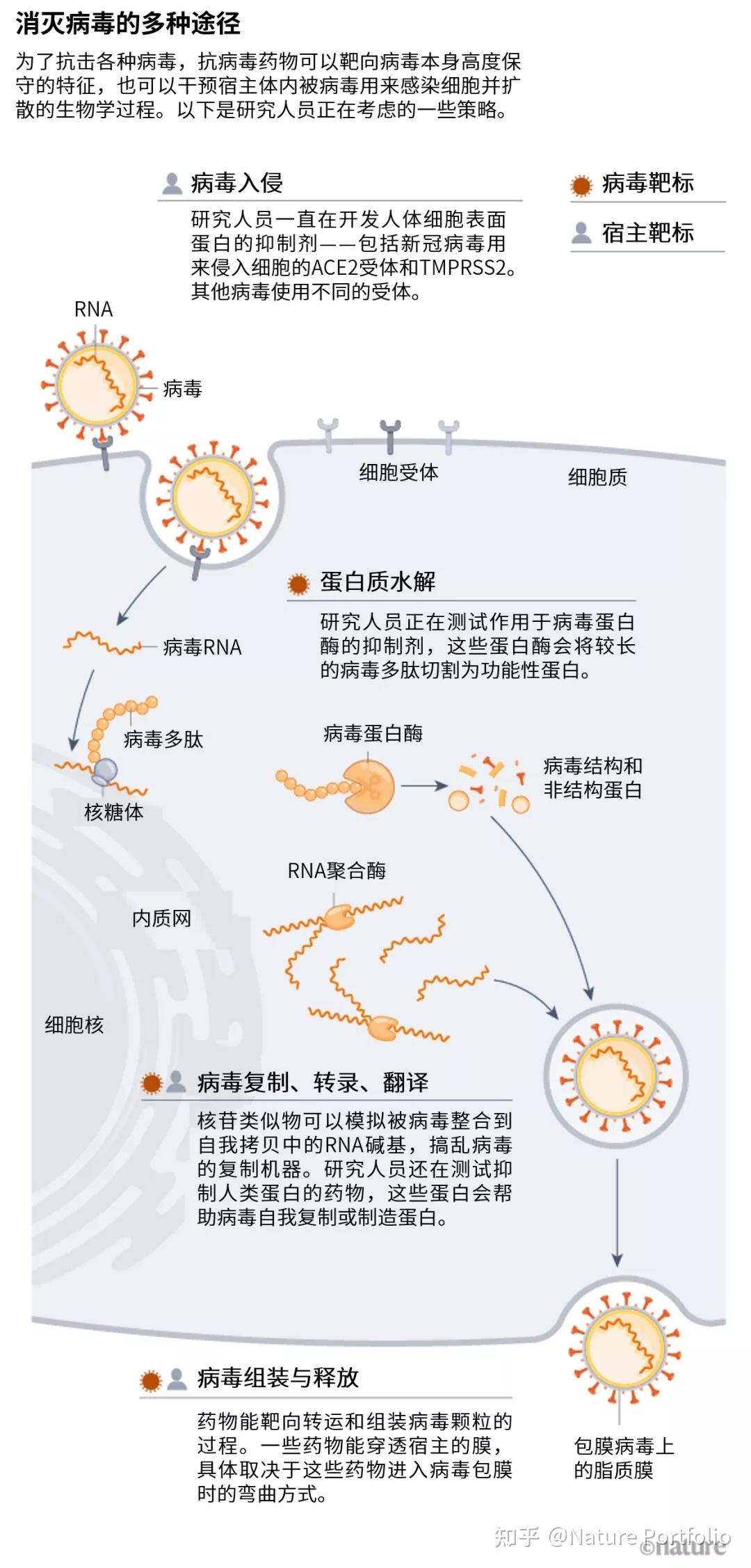 sars没能逼出来的抗病毒药物能在新冠疫情中研发成功吗?|《自然》特写