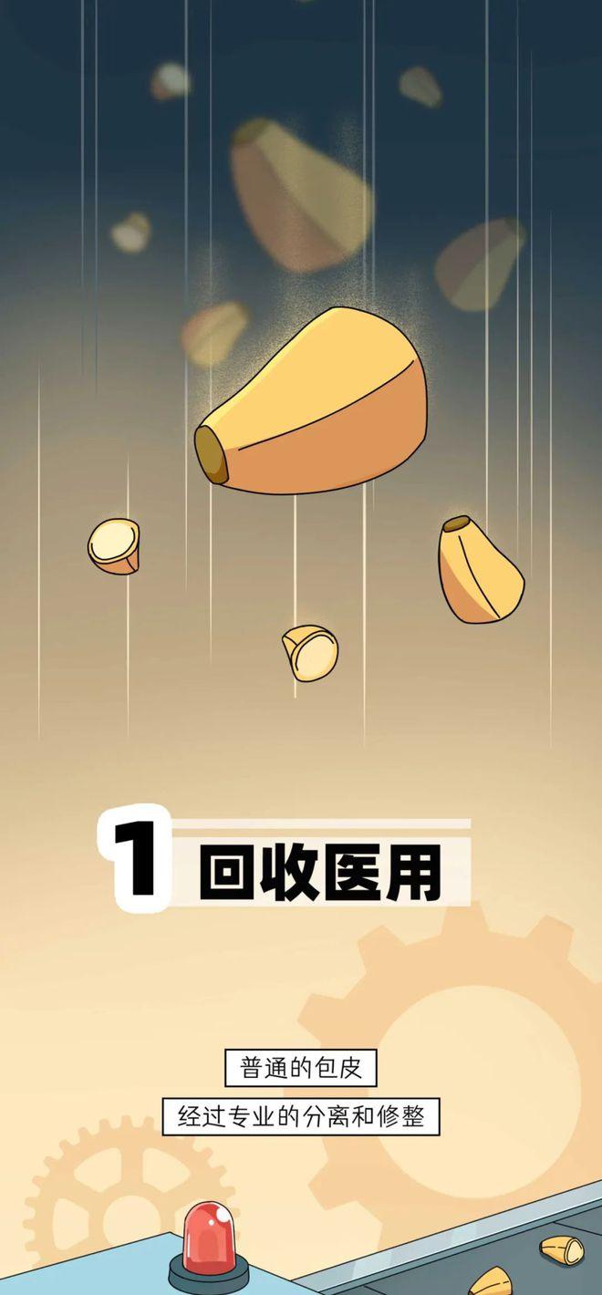 两性漫画:男孩子被割掉的包皮,都送去哪里了? - 知乎