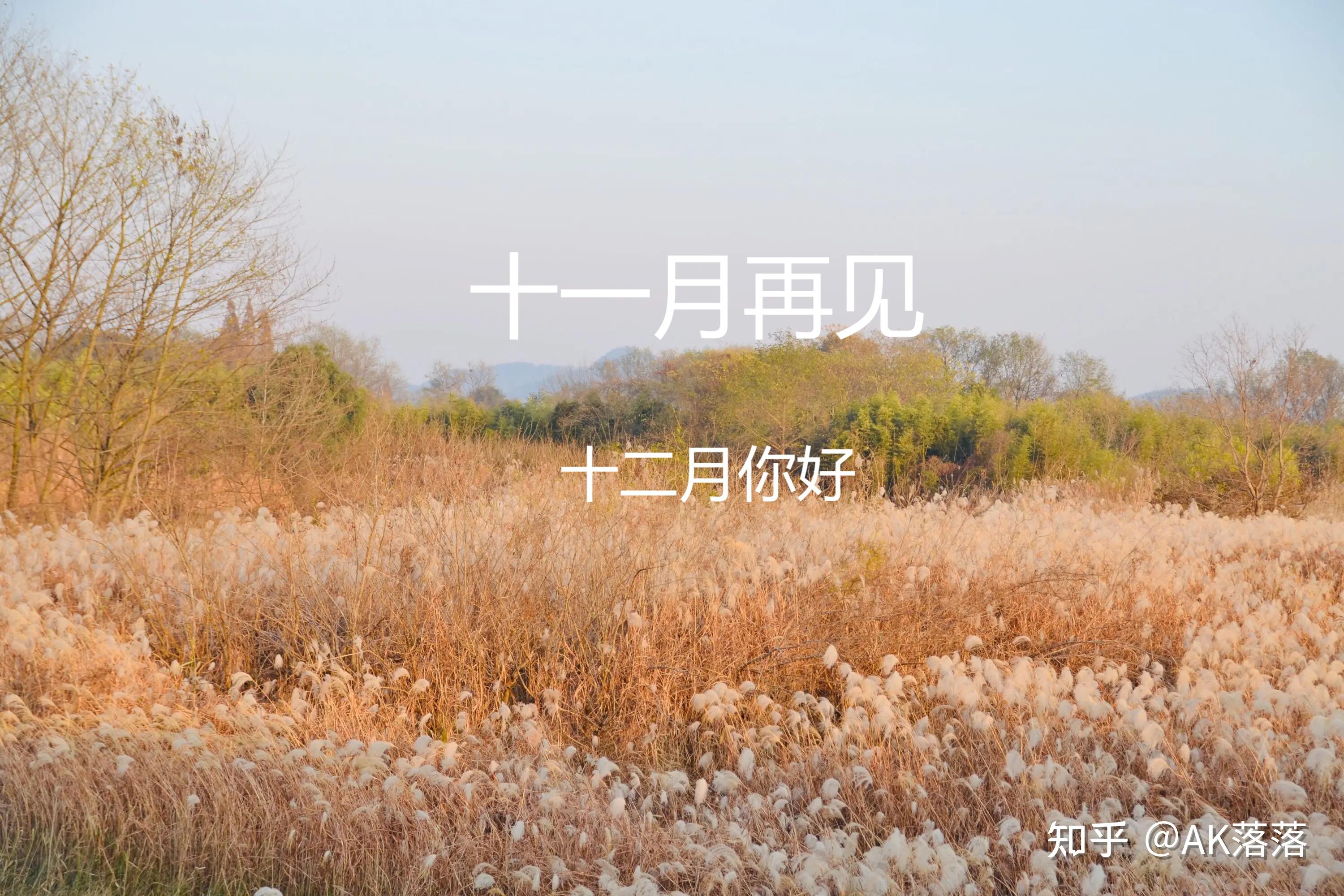 十一月最后一天,优美文案祝福语,群发和朋友圈收藏!