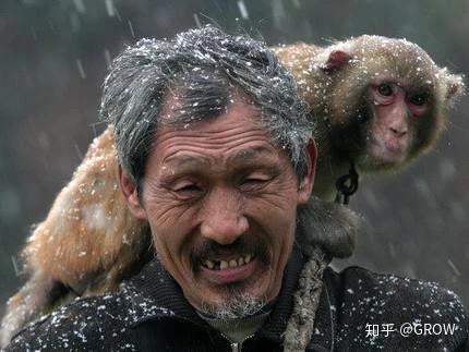 审丑文化何以盛行？ - 知乎