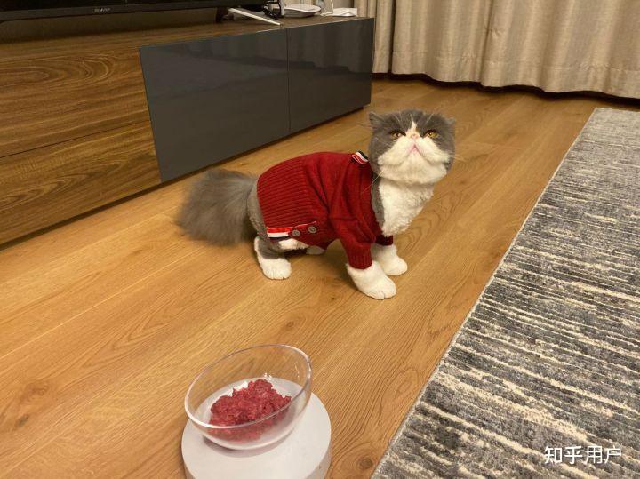为什么不给猫吃熟牛肉 为什么不给猫吃熟牛肉
