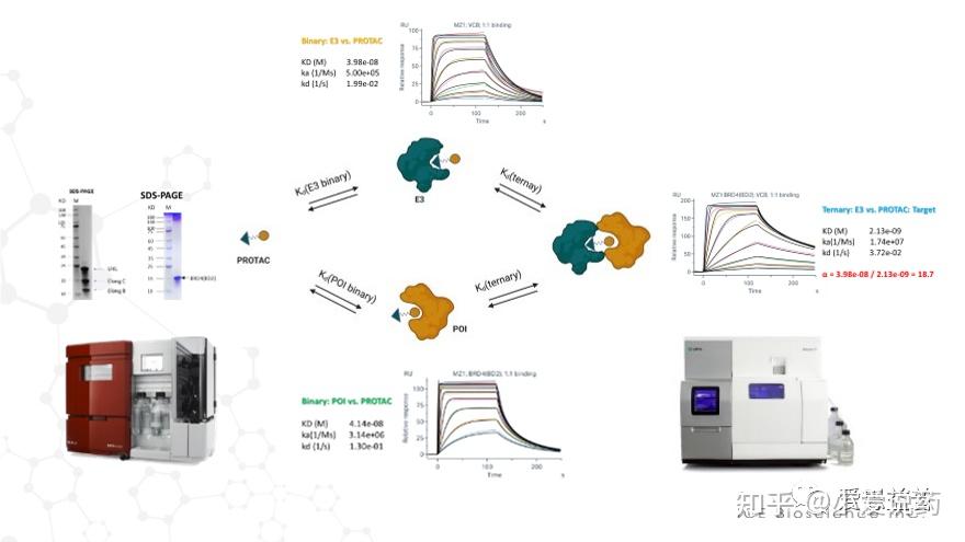 表面等离子共振（SPR）技术 - 知乎