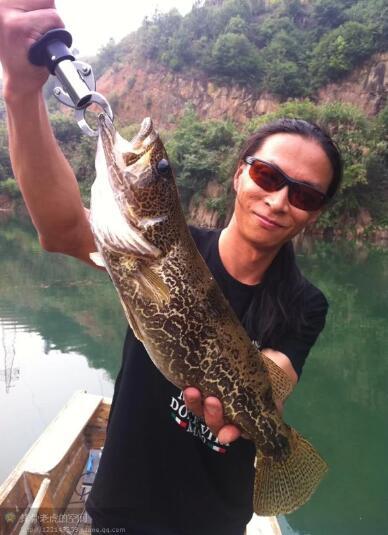 老虎路亚 排骨老虎 路亚钓鱼