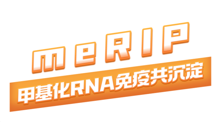 meRIP-Kit 产品性能报告(IEMed-K368) - 知乎