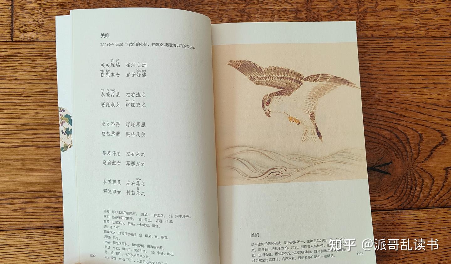 尴尬!被叫表演节目没才艺怎么办? - 知乎