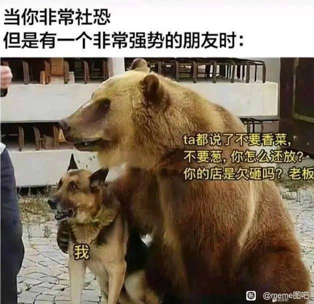 有哪些最搞笑的笑话