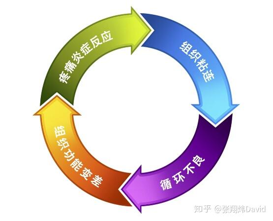 读完这篇文章你会了解到:一,遵循循序渐进原则二,如何分解训练目标?