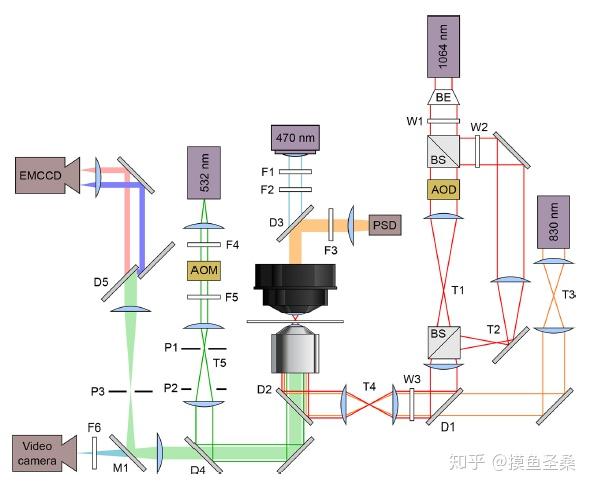 奖门人口型_人口普查(3)