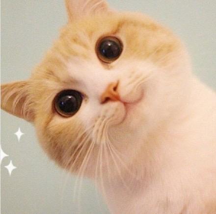 有没有什么惊艳的微信头像?-特别惊艳到人的微信头像