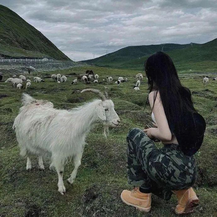 百看不厌的微信头像