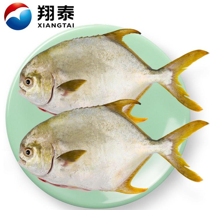 二去金鯧魚700g(2條)去鰓去內臟 燒烤 無公害認證 全程可追溯 魚類