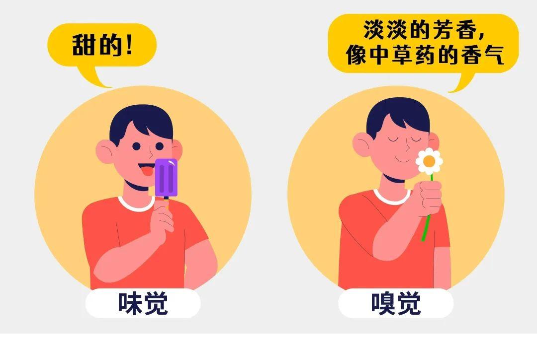 味觉和嗅觉究竟去哪了?