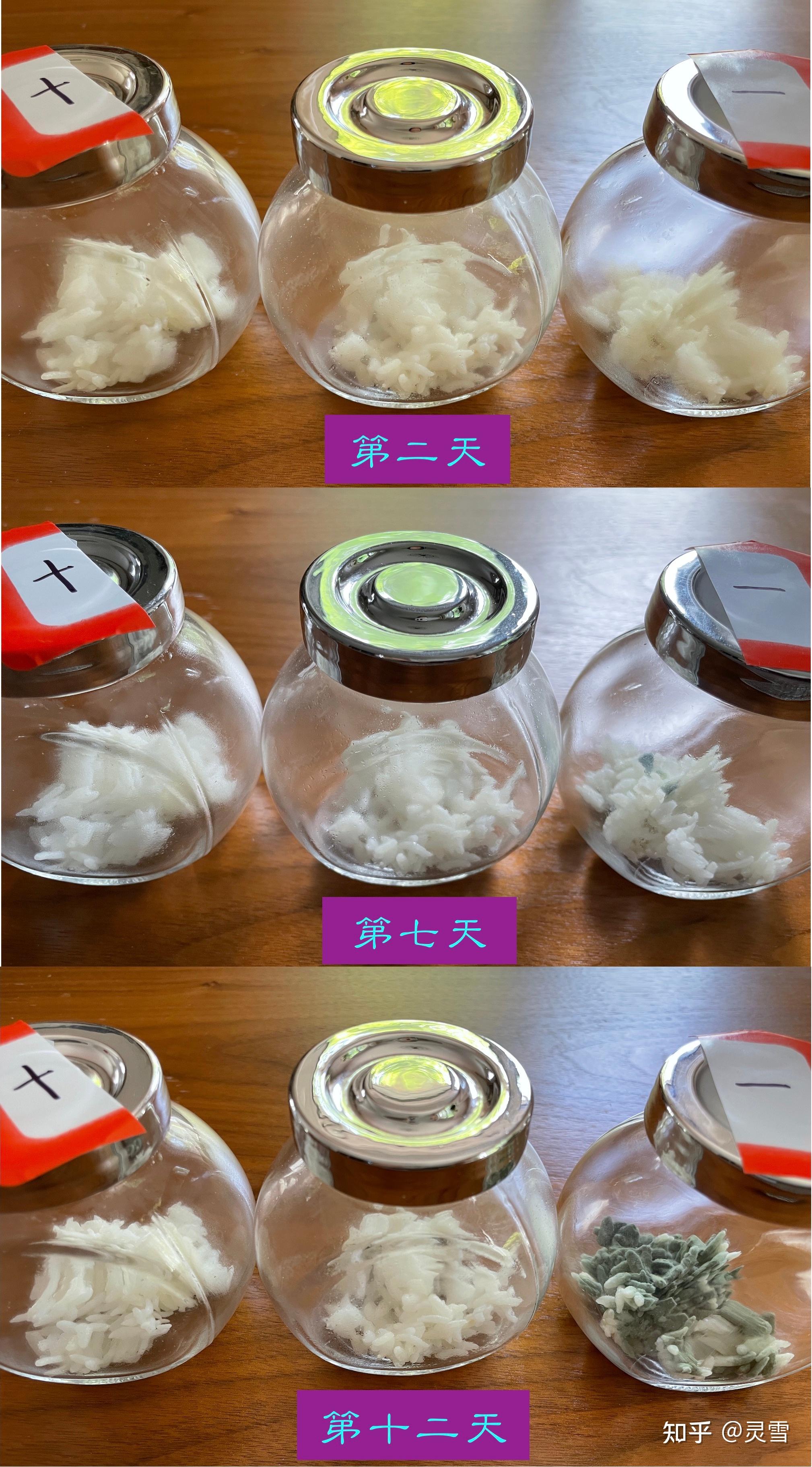 一个有趣的关于米饭的实验