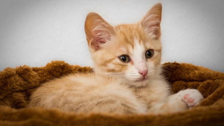 0次和10000次——焦尾