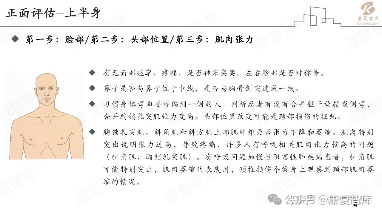 “直视你的身体正中线——评估从正面开始” - 知乎