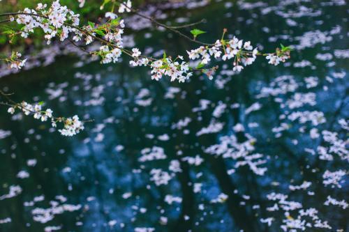 有哪些让你惊艳到的名字?