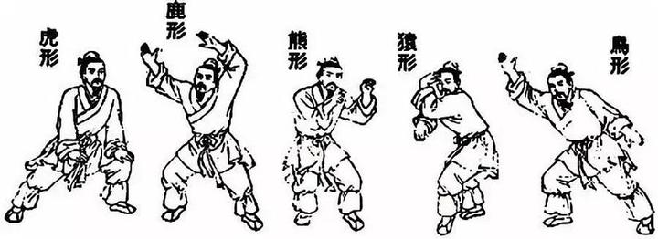 健身气功之古武术五禽戏