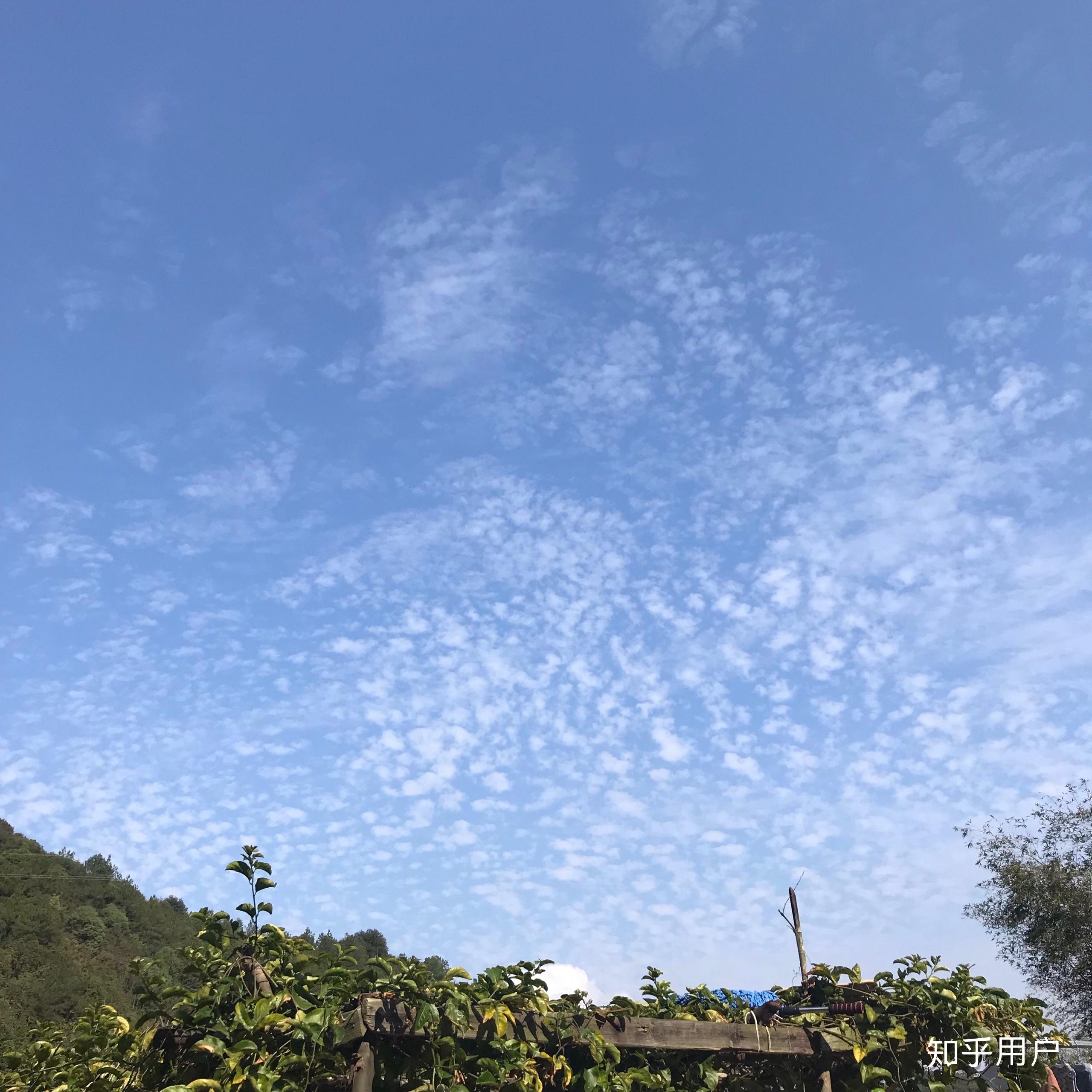 大家的手机主屏幕墙纸和微信聊天墙纸用什么?