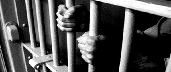 外国人看了《战狼2》会有什么感想?