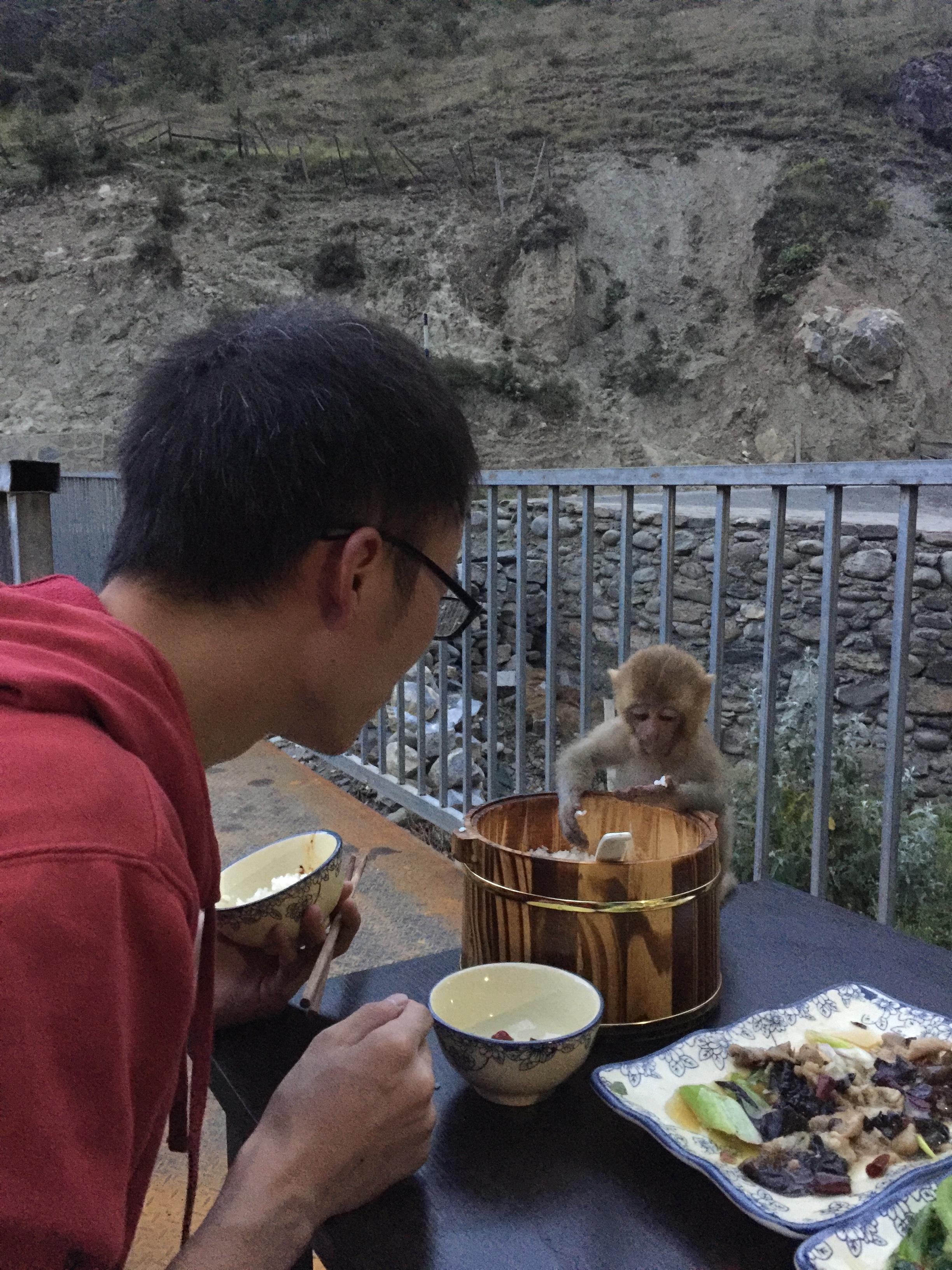 成都到稻城亚丁自驾危险吗? - 窦山水的回答