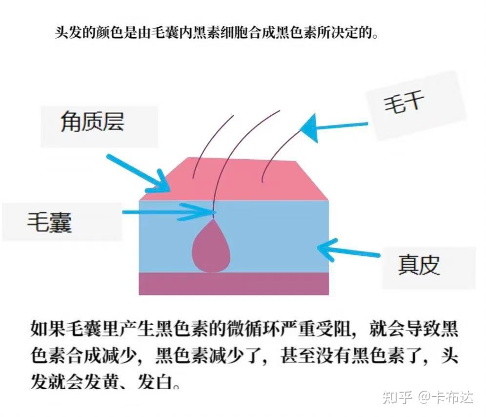 有什么流传下来改善白发的秘籍吗? - 知乎