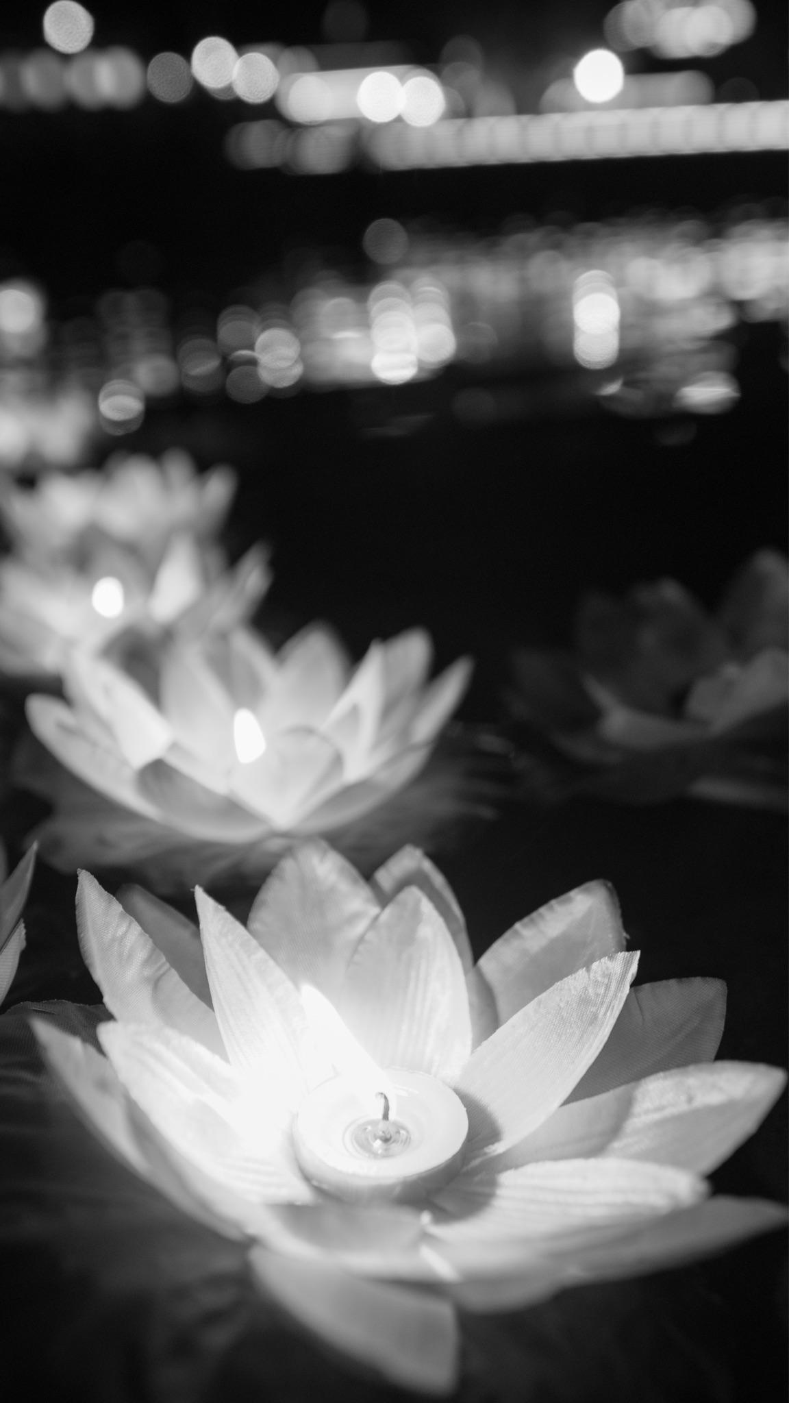 想要入手索尼新出的A7M3,请问配什么镜头合适