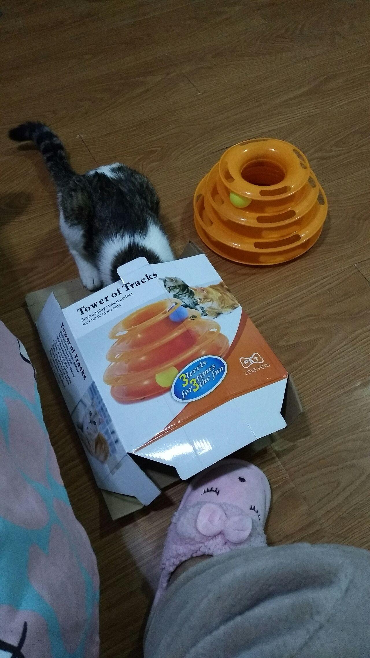 有哪些性价比很高的猫玩具?